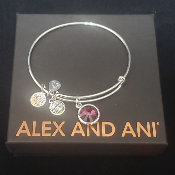 NWOT Alex & Ani RS February Swarovski Bracelet - Picture 2 of 11